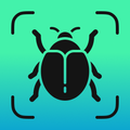 Insect Identifier - Insectium