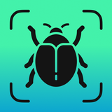 Insect Identifier - Insectium
