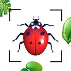 Bug Identifier Bug Finder 아이콘