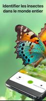 Insectes Identification Bug Id Affiche