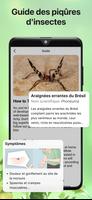 Insectes Identification Bug Id capture d'écran 3