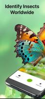 Bug Identifier Bug Finder poster