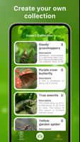 Insect Identification Bug ID captura de pantalla 2