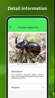 Insekten bestimmen bug scanner Screenshot 3