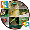 Insects - RINGTONES and WALLPAPERS APK