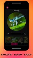 Insects Under Microscope poster