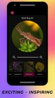 Insects Under Microscope screenshot 2