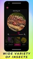 Insects Under Microscope screenshot 3