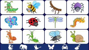 Video Touch - Bugs & Insects الملصق