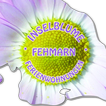 Inselblume Fehmarn