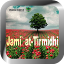 Hadits At Tirmidzi (English) APK