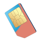 SIM détails de carte directeur icône