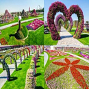 jardín de flores inspirador APK