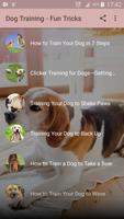 Poster Dog Training - Best Tricks