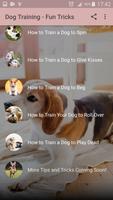 Dog Training - Best Tricks capture d'écran 1