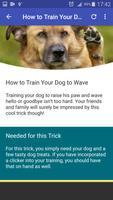 Dog Training - Best Tricks اسکرین شاٹ 3
