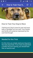 Dog Training - Best Tricks 截图 3