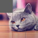 Puzzle: animaux mignons APK