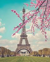 صور برج ايفل - باريس 2019 Affiche