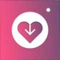 InStorySave : Story Saver