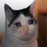 Your Daily Dose of Funny Fresh Memes