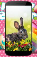 Easter wallpaper capture d'écran 3