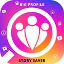 Insta Big Profile Story Saver APK