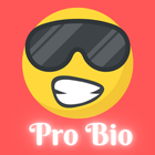 Bio for Insta- Attitude Bio أيقونة