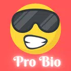 Bio for Insta- Attitude Bio آئیکن