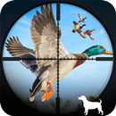 Duck Hunting Simulator 2022 APK