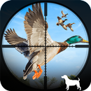 Duck Hunting Wild Simulator APK