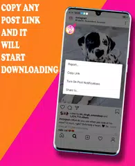 Descargar XAPK de IG Repost - Photo & Video Down
