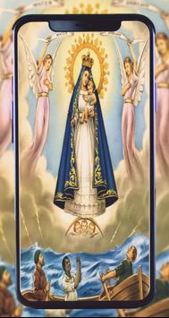 Virgin Mary wallpaper 2020 截图 4