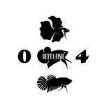 pengenalan beta fish