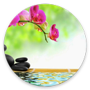 Instrumental Relax Music Vol.1 APK