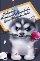 Good Morning Portuguese 포스터