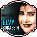 Lagu Elvy Sukaesih | Dangdut Offline APK