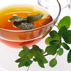 Tisanes et Infusions آئیکن