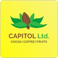 Capitol - CMS