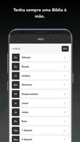CCIDV POA RS imagem de tela 3