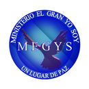 MEGYS MIAMI APK