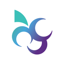 Videira Maryland APK