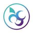 VIDEIRA ROO APK