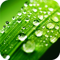 Rain Drops Sounds Videos
