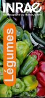 Légumes পোস্টার