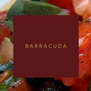 Barracuda Online APK