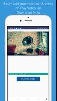 Url Video Player 海報