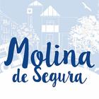Molina de Segura Ayuntamiento icon