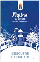 Molina de Segura Ayuntamiento poster