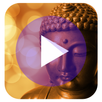 Buddha - Video Status & Quotes APK